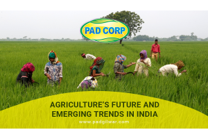 Agriculture’s Future and Emerging Trends in India