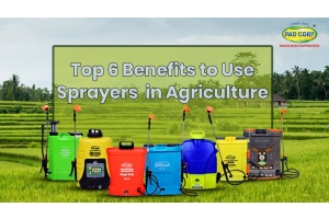  Top 6 Benefits to Use Sprayers in Agriculture