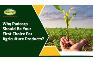 Why Padcorp Should Be Your First Choice For Agriculture Products?