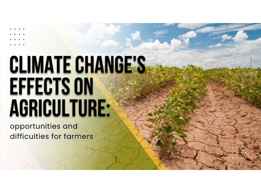 essay on impact of climate change on agriculture
